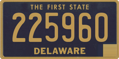 DE license plate 225960