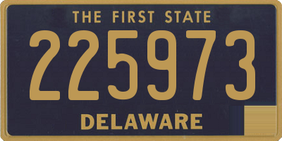 DE license plate 225973