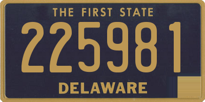 DE license plate 225981