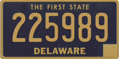 DE license plate 225989