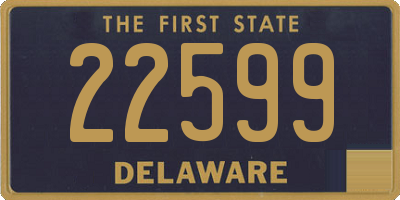 DE license plate 22599