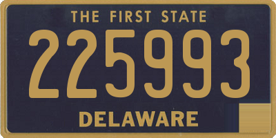 DE license plate 225993