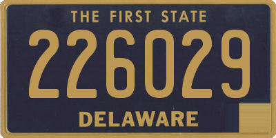 DE license plate 226029