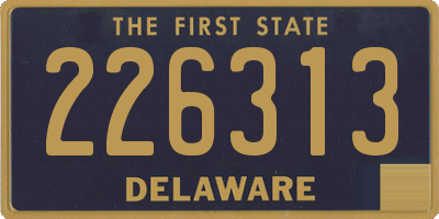 DE license plate 226313