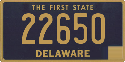 DE license plate 22650