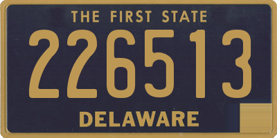 DE license plate 226513