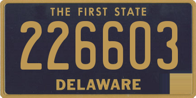 DE license plate 226603