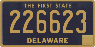 DE license plate 226623