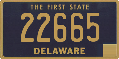 DE license plate 22665