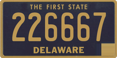 DE license plate 226667