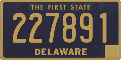 DE license plate 227891