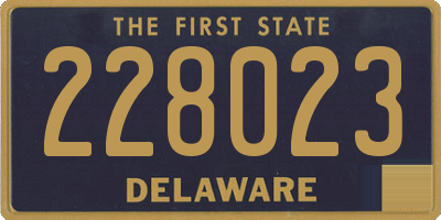 DE license plate 228023