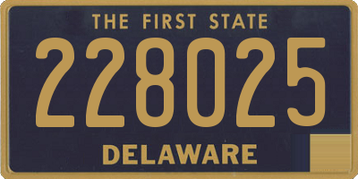 DE license plate 228025