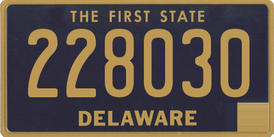 DE license plate 228030