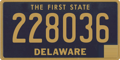 DE license plate 228036