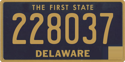 DE license plate 228037