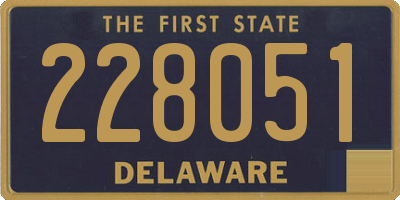 DE license plate 228051