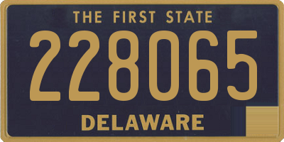 DE license plate 228065