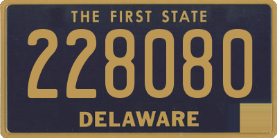 DE license plate 228080