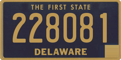 DE license plate 228081