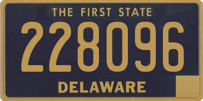 DE license plate 228096