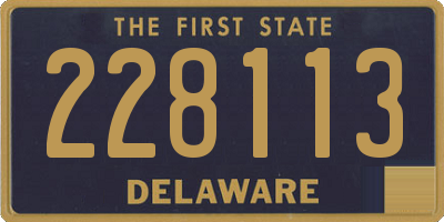 DE license plate 228113