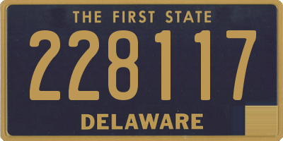 DE license plate 228117