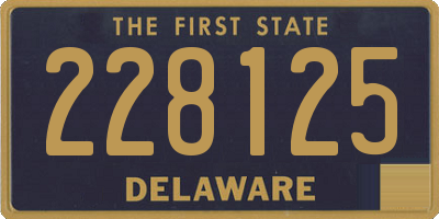 DE license plate 228125