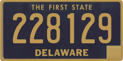 DE license plate 228129