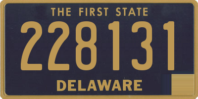 DE license plate 228131