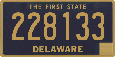 DE license plate 228133