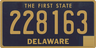 DE license plate 228163