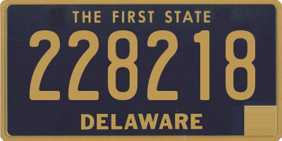 DE license plate 228218