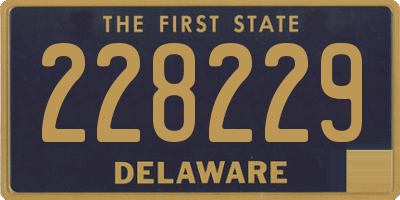 DE license plate 228229