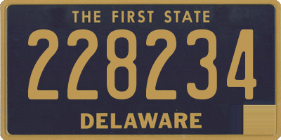 DE license plate 228234