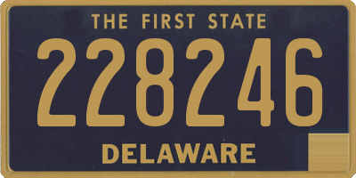 DE license plate 228246