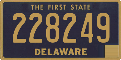 DE license plate 228249