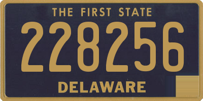 DE license plate 228256