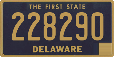 DE license plate 228290