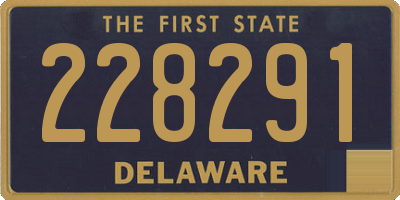 DE license plate 228291