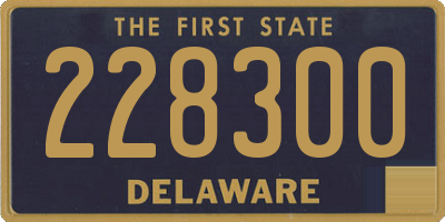 DE license plate 228300