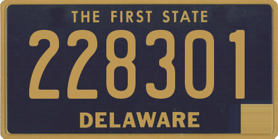 DE license plate 228301