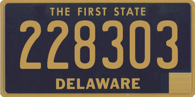 DE license plate 228303