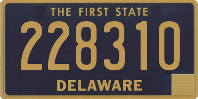 DE license plate 228310