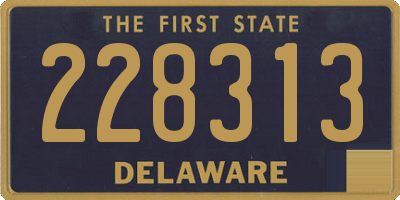DE license plate 228313