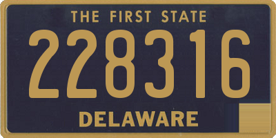 DE license plate 228316