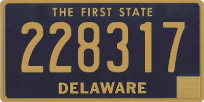 DE license plate 228317