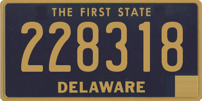 DE license plate 228318