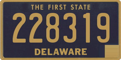 DE license plate 228319