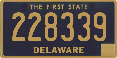 DE license plate 228339